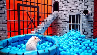 Hamster Maze Expedition 🐹 Journey Through the Impossible!