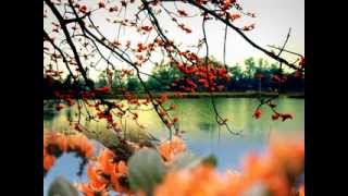 ode to spring (বিদায় বসন্ত) by zishan.