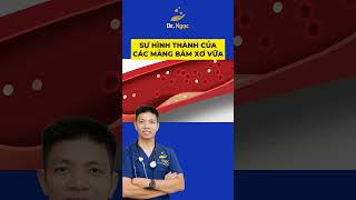 Sự hình thành của các mảng bám xơ vữa | Dr Ngọc #short #shorts #drngoc