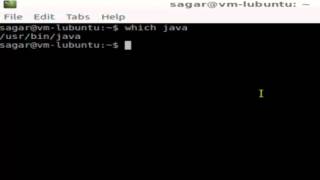 How to find where java is installed in Linux Mint