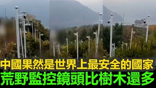 黑哥看中國 | 2025 中國荒野中的監控比樹木還多，監控代替綠植成為新風景