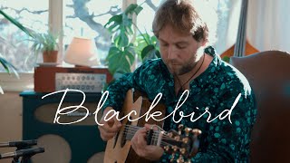 Paul McCartney - Blackbird (Acoustic Cover)