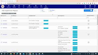 Site Supervisor Report