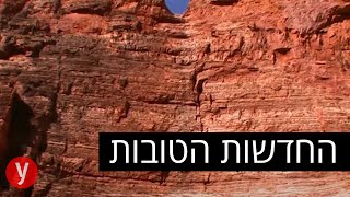 תגלית מלפני 313 מיליון שנה נמצאה מתחת לסלע שנפל