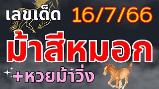 เลขเด็ดม้าสีหมอก และหวยซองม้าวิ่ง เลขเด่นชนกัน!! งวด16ก.ค.2566