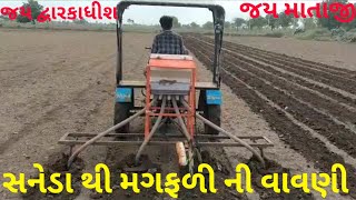 સનેડા થી મગફળી ની વાવણી || sanedo mini tractor || 10.5HP sanedo mini tractor | sanedo tractor orani