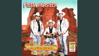Fiesta Huasteca