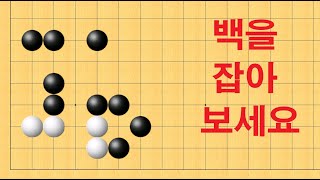 바둑 묘수 - 엄청 어려운 사활입니다. 백을 잡으면 기원 1급입니다