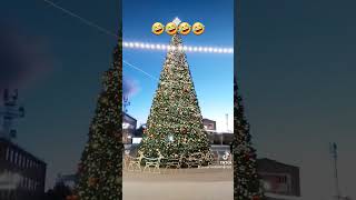 #ամանոր #новыйгод #юмор #ամանոր2024🎄🎁🤣🤣🤣🤣 #հոկտեմբերյան #տոնածառ ջան տոնածառ 🤣🤣🤣