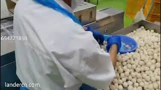 Fish ball meatball vacuum packaging machine Rollstock Thermoforming packaging machine