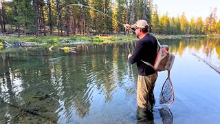 How to Fly Fish w/Single Nymphs \u0026 Indicators