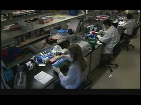 ClinSeq®: A Large-Scale Medical Sequencing Clinical Research Pilot Study ClinSeq®: A Large-Scale Medical Sequencing Clinical Research Pilot Study