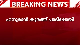 തിരുവനന്തപുരം മൃഗശാലയില്‍ നിന്ന് ഹനുമാന്‍ കുരങ്ങ് ചാടിപ്പോയി| Mathrubhumi News