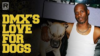 DMX On When His Love For Dogs Started \u0026 How They Influenced His Brand