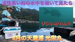 ♯61 厳しい日の真夏の養殖小割の水中動画‼️  まさかのノースイング💦