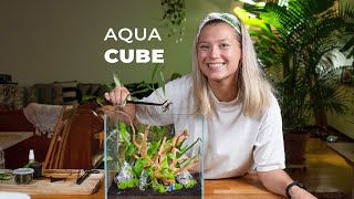 AQUA CUBE - Guide to making an Incredible Aquascape