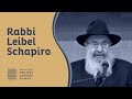 Vol 16 Mishpatim 5 - Rabbi Leib Schapiro