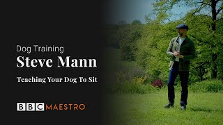 Steve Mann -Teaching Your Dog To Sit  - Dog Training - BBC Maestro