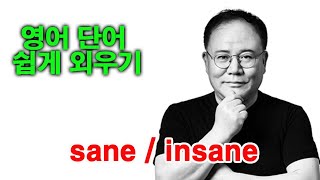 김정겸 선생님의 영어를 구해줘 영어단어 암기법 sane - insane