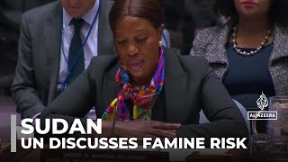 Crisis worsens in Sudan as UN security council discusses famine risk