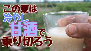 麹と甘酒づくり【自給生活北海道ぐるりの暮らし#89】夏バテ防止におススメな甘酒。昔から「冷やし甘酒」は日本の夏を乗り切るアイテムでした。簡単な甘酒の作り方と雑な麹の育て方を紹介しています。