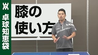 プレースタイルに合わせた『膝』の使い方の秘密【卓球知恵袋】