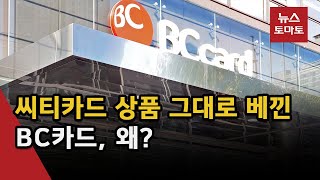 표절 논란 휩싸인 BC카드 / \