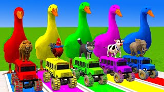 5 Giant Duck Cartoon,Cow,Elephant,Lion,Dog,Bear,Tiger Paint Wild Animals Crossing Fountain Animation