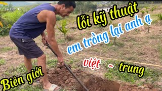 cau mới trồng lỗi kỹ thuật em phải làm lại anh ạ