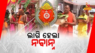 Nuakhai | Nabanna Lagi Ritual Performed At Samaleswari Temple | NandighoshaTV