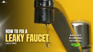 How to Fix a Leaky Faucet Like a Pro | Easy DIY Plumbing Tutorial