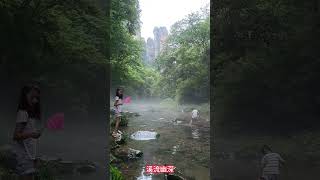 中國張家界旅遊攻略之3天2夜，去張家界自由行玩3天最佳安排，張家界國家森林公園，天門山，大峽谷玻璃橋旅遊3天時間遊玩順序 #旅游 #travel #張家界  #張家界導遊張雄