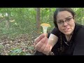 Where to find chanterelle mushrooms