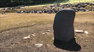 青森県・小牧野遺跡　環状列石