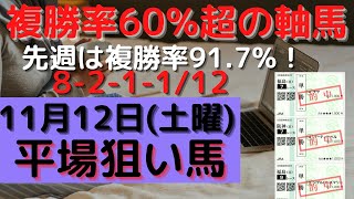 【競馬予想】１１月１２日の平場勝負レース該当馬（３レース）！複勝率６０％超の軸馬（６レース）の配信！