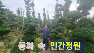 동화 속 민간정원! 아기자기하고 예쁜 미니 조경수들이 한가득! 꿈같은 동화속에 온 것 같은 보기만 해도 힐링되는 이곳은 전라북도 민간정원 3호 들꽃마당\u0026카페 제이포렛을 함께 걸어요