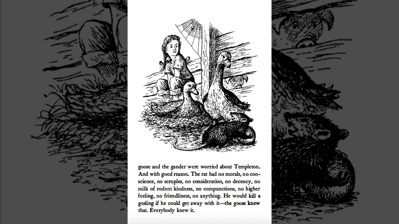 Charlotte S Web Chapter 6 7 Youtube