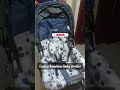 luvlap sunshine baby stroller unboxing shorts baby