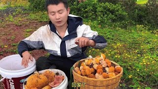 222. 两小伙上山捡菌子，胖嘟嘟的牛肝菌捡不完，3个小时捡