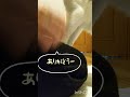 サラちゃんと2人っきりになれるたいせつな時間♥️ ネコ動画 猫のいる暮らし かわちい 三毛猫 shorts short