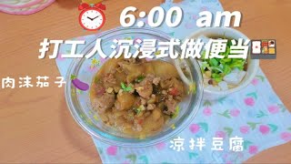 今日份便当:肉沫茄子和凉拌豆腐！