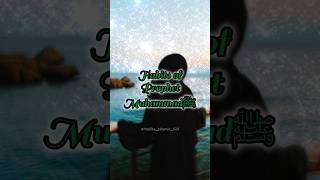 Habits of Prophet Muhammadﷺ #habibaislamicgirl #aesthetic #editz #ytshorts #youtube