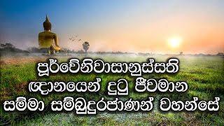 ජීවමාන බුදුරජාණන් වහන්සේ දැකීම..Maha Rahathun Wadi Maga Osse