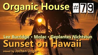 GR#79 ★ Lee Burridge • Molac • Geplantes Nichtstun ★ #Relaxing #OrganicHouse ★ Sunset on Hawaii