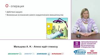 Анна Мальцева. Что делать при остановке кровообращения в операционной?