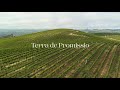 Gary Farrell Vineyards & Winery | Terra de Promissio Vineyard