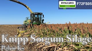 Knipp Family Sorghum Silage 2024