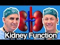 What Your Kidneys Really Do: The Vital Role They Play in Your Life!