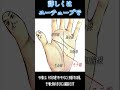 浮気線　 手相 手相鑑定 モテ線　 エロ線