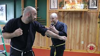 Ninjutsu Techniques Adapted For Modern Threats